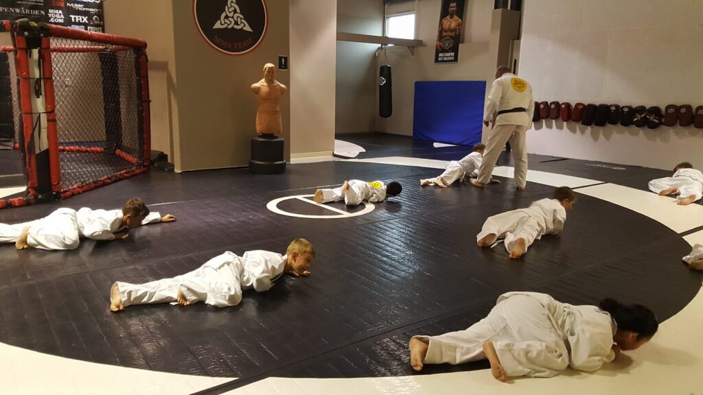 Wulfrun Martial Arts Academy